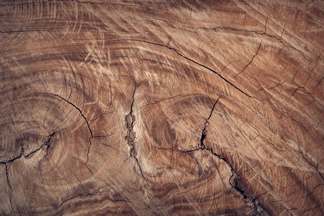 Kirsi kiittää tuotekoodien ja luonto kiittää Woodcastin haltuunotosta